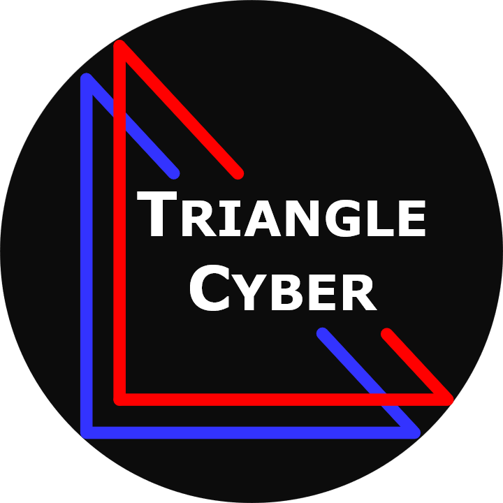 Triangle Cyber Black Circle Logo